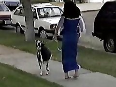 Горбун берсе неприятных ханымнар ХХХ